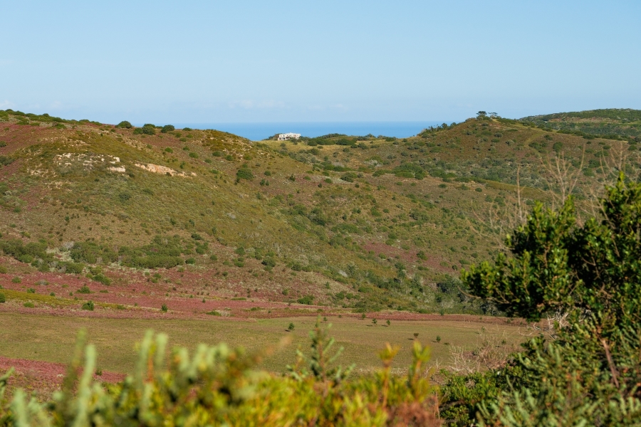 0 Bedroom Property for Sale in Fernwood Estate Western Cape